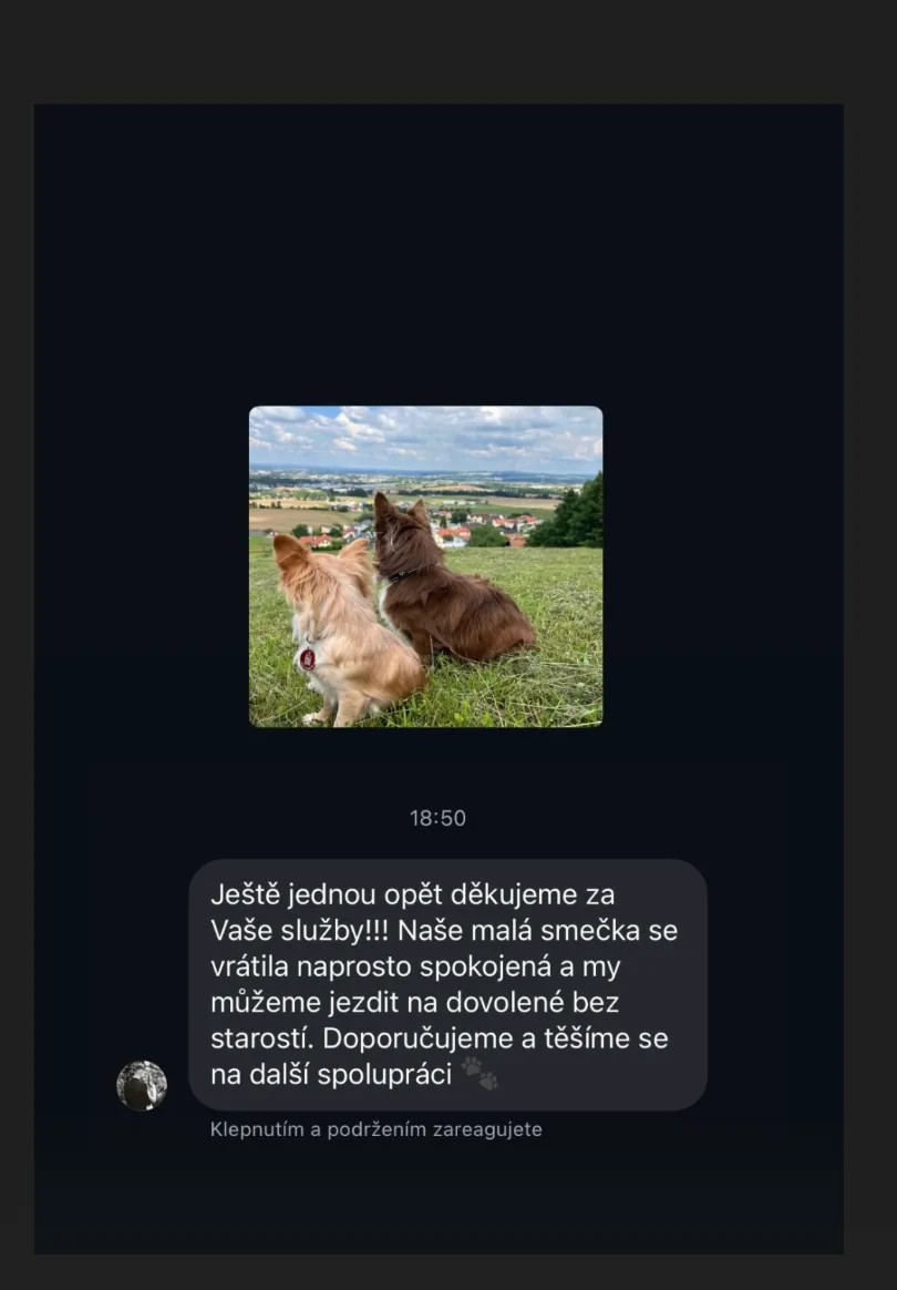 Portrét spokojeného mazlíčka