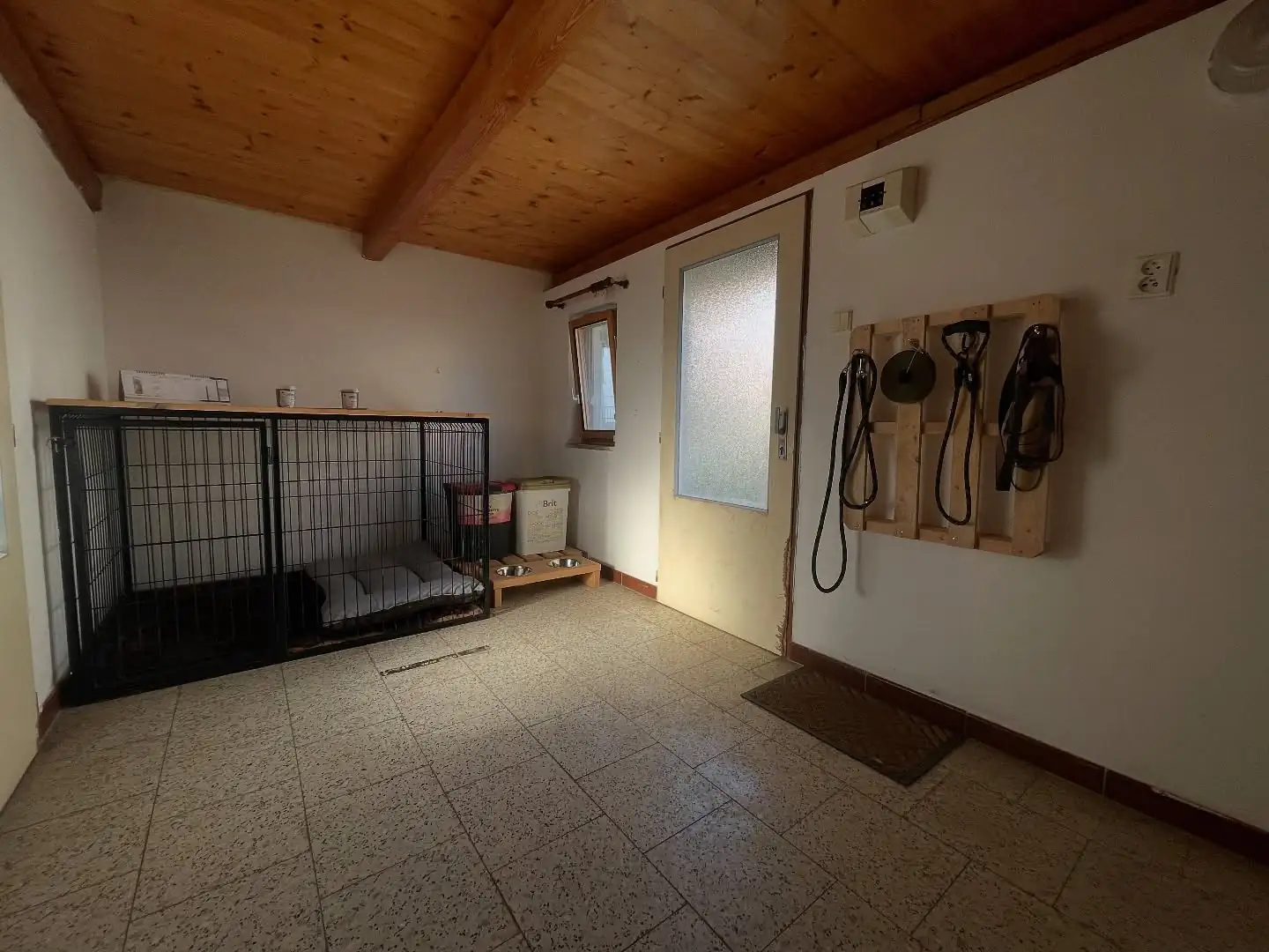 Psi na oploceném výběhu