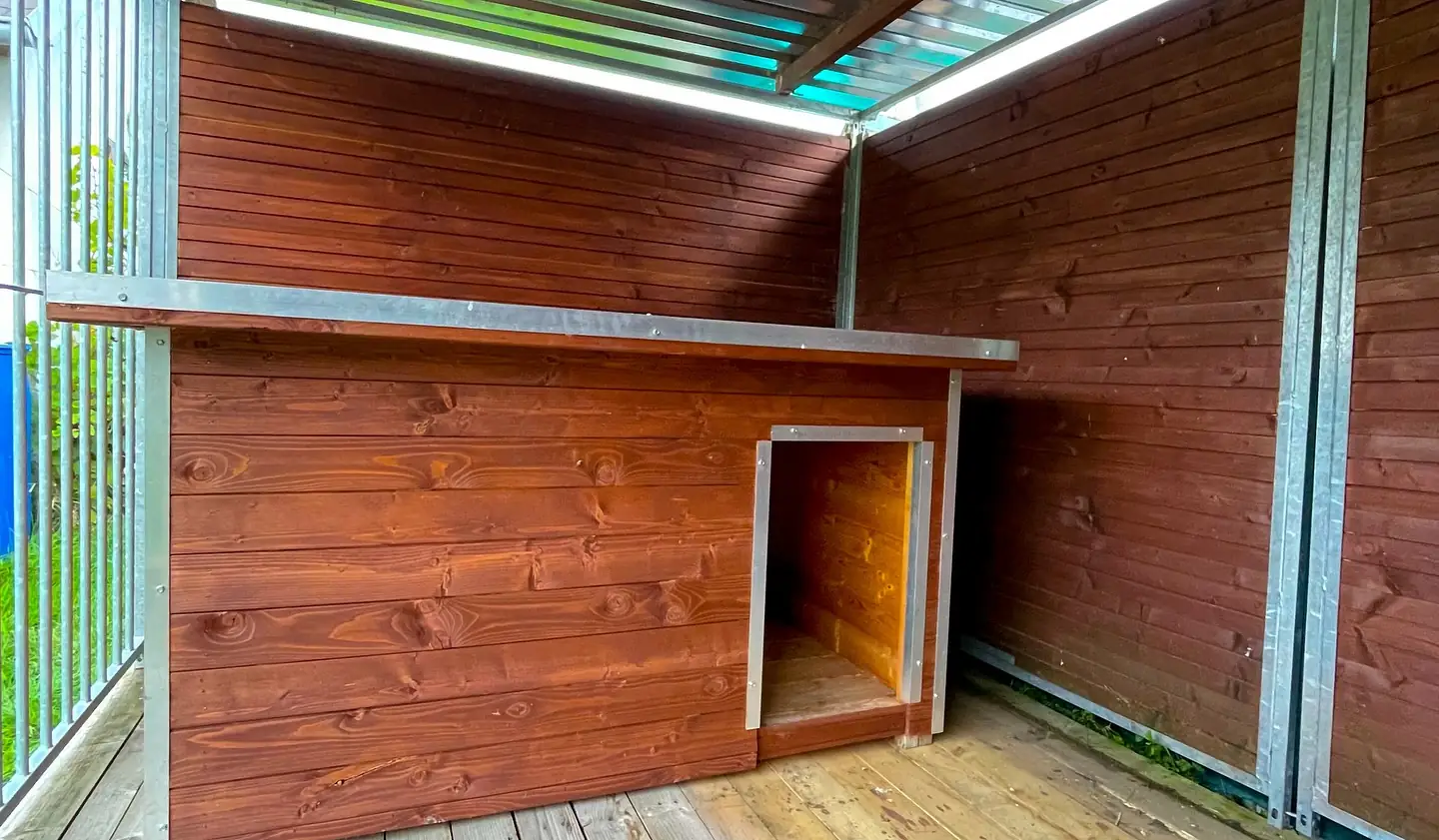 Procházka s pejsky v přírodě