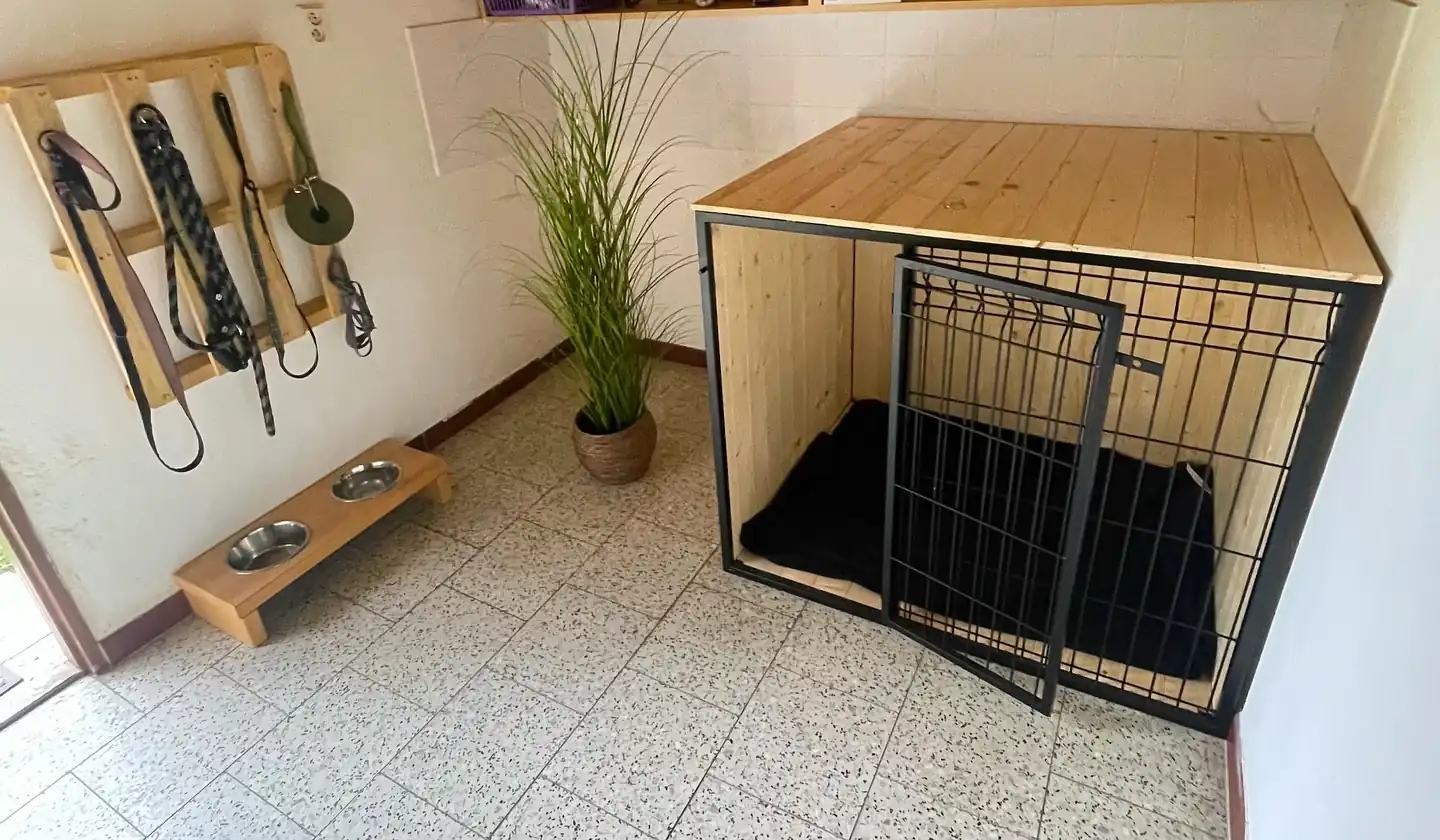 Pejsci si hrají venku