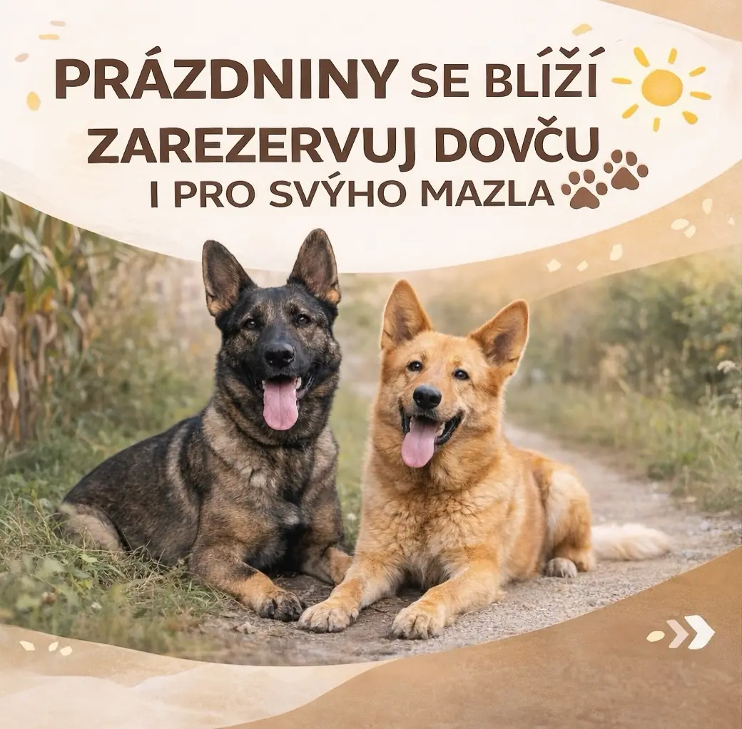 Detail psa v okolí Strmilova